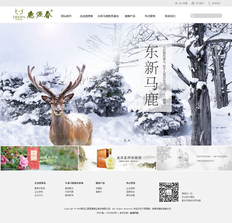 哈尔滨网站建设的新趋势与机遇