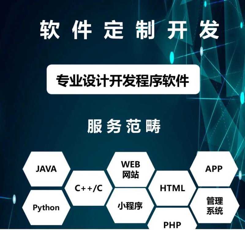 软件定制开发:企业在数字化转型中的得力助手